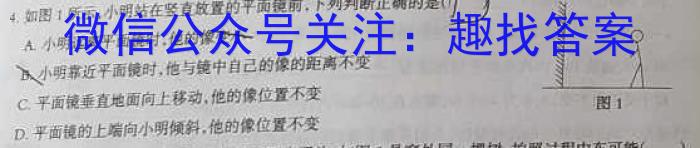 百校联赢·2023年安徽名校过程性评价三.物理