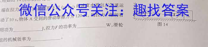 2023年陕西省初中学业水平考试（B版）物理.