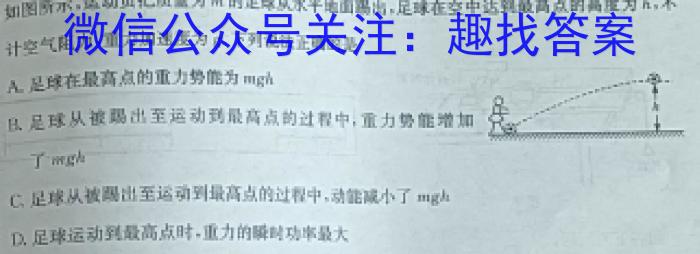 河南省创新发展联盟2024-2023年度下学年高一年级第二次联考（23-419A）q物理