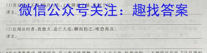 百师联盟2023届高三二轮复*联考(三)新教材语文