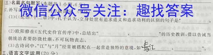 2023届天域全国名校联盟高三第一次联考适应性试题语文