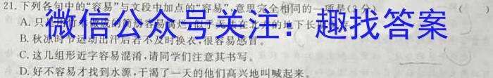 2023年安徽省中考教学质量调研（4月）语文