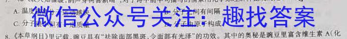 安徽省2023年第四次中考模拟考试练习化学