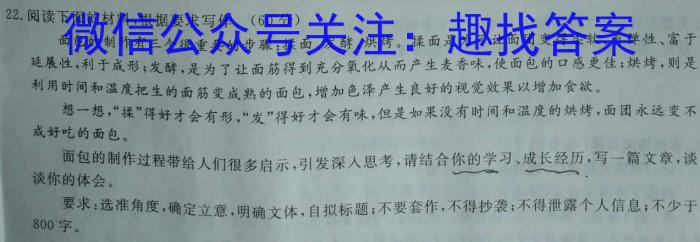 安康市2023届高三年级第三次质量联考语文