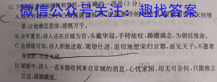 文博志鸿 2023年河北省初中毕业生升学文化课模拟考试(导向二)语文