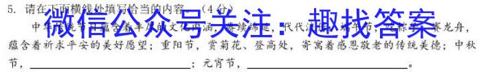 2023届全国百万联考老高考高三5月联考(5004C)语文