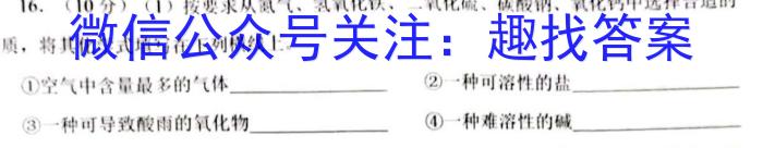 河南省2023年中招九年级适应性测试（二）化学