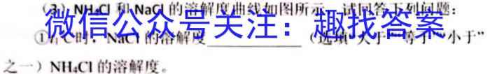 安徽省2022-2023学年第二学期八年级期中作业调研化学