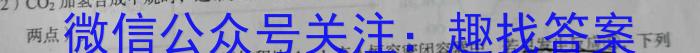 2023年湖南省普通高中学业水平合格性考试仿真试卷(专家版四)化学