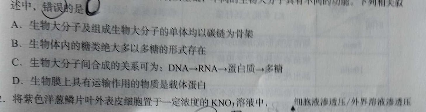 强基路985天机密卷 2023年普通高等学校统一招生模拟考试(新高考全国Ⅰ卷)(四)4生物