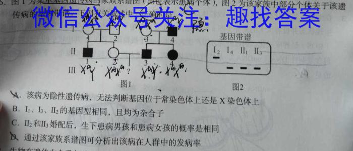 2023年普通高等学校招生全国统一考试(银川一中第二次模拟考试)生物试卷答案