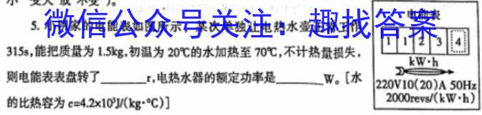 学林教育 2023年陕西省初中学业水平考试·冲刺压轴模拟卷(一)1物理`