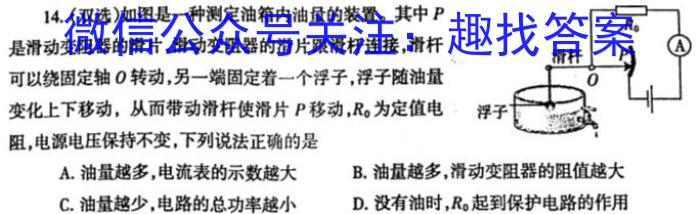 湖北省2022-2023学年度下学期期中新洲区部分学校高中二目标检测.物理