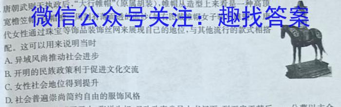 2023年普通高等学校招生全国统一考试信息模拟测试卷(新高考)(六)历史