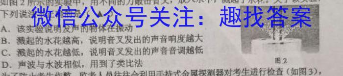 陕西省兴平市2023年初中学业水平考试模拟试题(二)f物理