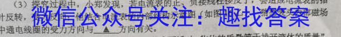 江西省2023年最新中考模拟训练 JX(五)物理`