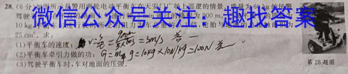 2023年普通高等学校招生全国统一考试信息模拟测试卷(新高考)(五)z物理