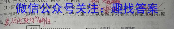 2023年普通高等学校招生全国统一考试·专家猜题卷(四)生物试卷答案