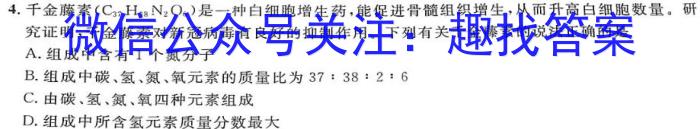 山西省2023届九年级山西中考模拟百校联考考试卷（四）化学