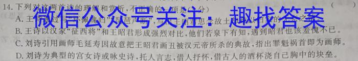 环际大联考 圆梦计划2023年普通高等学校招生适应性考试(5月)语文