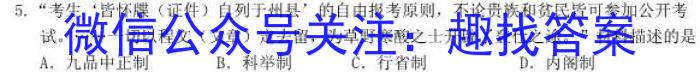 河南省2023年新野县九年级第一次模拟考试（23-CZ123c）历史