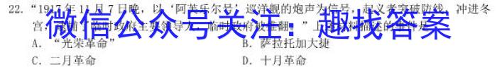 2023届河南省中考适应性检测卷（23-CZ139c）政治试卷d答案