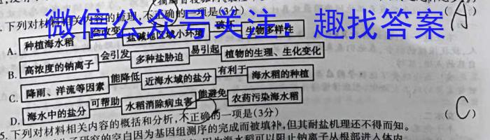 齐市普高联谊校2022~2023学年高二下学期期中考试(23083B)语文