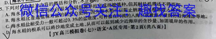 河南省名校联盟2022~2023学年高三下学期5月联考(2023.5)(3493C)语文