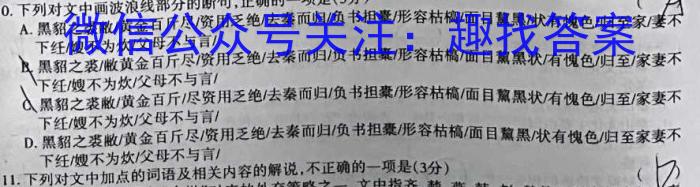 安宁河联盟2022-2023学年度下学期高中2022级期中联考语文