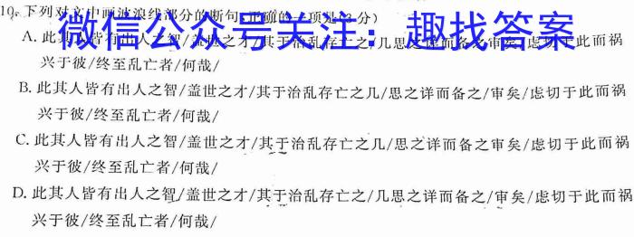 2023届陕西省第十次模拟考试语文