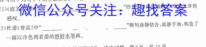 天一大联考 2022-2023学年高三考前模拟考试语文