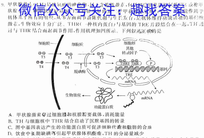 江西省南丰县2023年九年级下学期期中检测生物