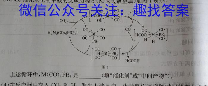 掌控中考 2023年河北省初中毕业生升学文化课模拟考试(一)化学