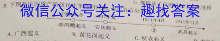 江西省乐平市2022-2023学年度九年级下学期期中学业评价历史