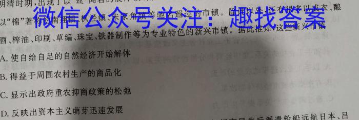 2022-2023学年安徽省八年级下学期阶段性质量检测（七）历史