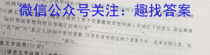 2023年普通高等学校招生全国统一考试猜题信息卷(新高考)(一)语文