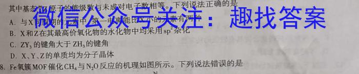 2023年湖南省普通高中学业水平合格性考试仿真试卷(专家版五)化学