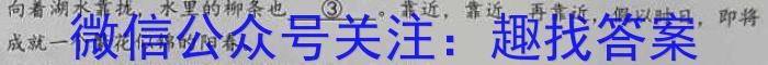 2023年泰安市高考全真模拟试题（5月）语文