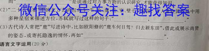 湖南省2023届高三全真模拟适应性考试语文