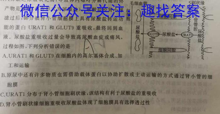 河南省漯河市临颍县2022-2023学年度第二学期期中考试七年级生物试卷答案