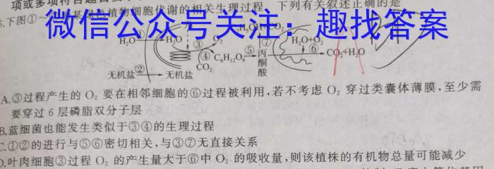江西省2021级高二第七次联考生物试卷答案