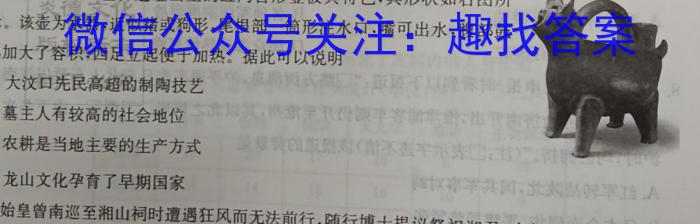 2023年普通高等学校招生统一考试青桐鸣高三5月大联考（老教材）历史