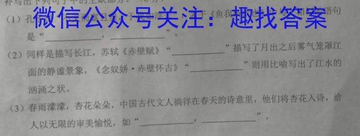 陕西省2023年九年级教学质量检测（正方形套黑色菱形）语文