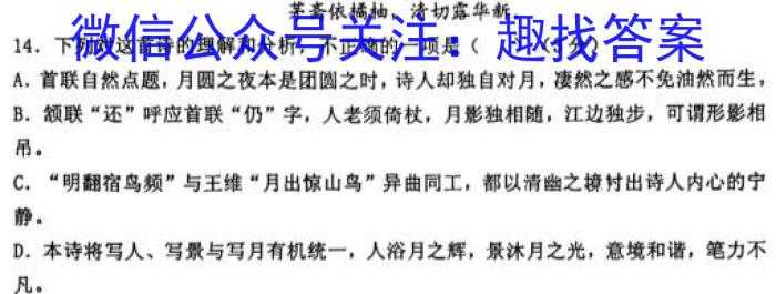 江西省2023年初中学业水平考试冲刺练习（三）语文