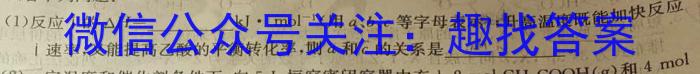 2023年春荆、荆、襄、宜四地七校考试联盟高一期中联考化学