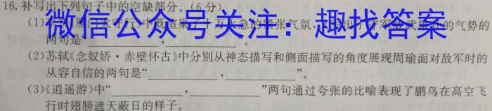 2023年安徽省初中毕业学业考试冲刺卷（二）语文