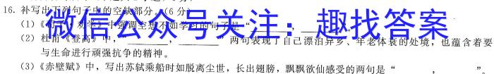 ［临汾二模］临汾市2023年高考考前适应性训练考试（二）语文