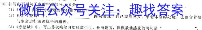 陕西省2023年第五次中考模拟考试练习语文