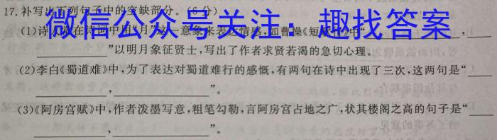 2023年河北省初中毕业生升学文化课考试(省级)大联考语文