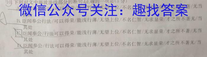 2023年高二年级九师联盟湖北省期中考试语文